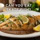Skater's Guide: Can You Eat Skate Fish? & Recipes | How to Skateboard: A Beginner's Guide to Your First Board & Tricks