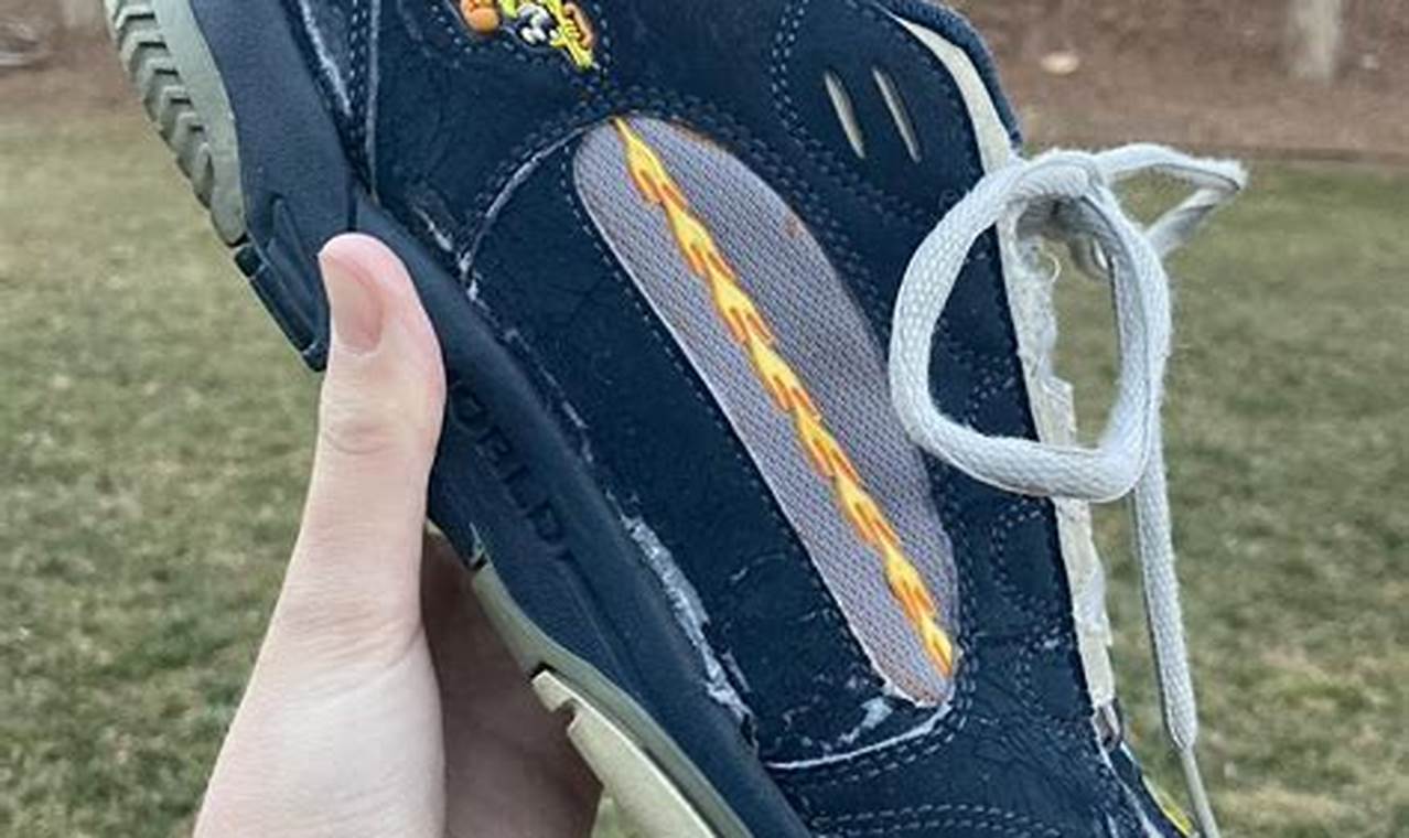 Best World Industries Skate Shoes: Reviews & More! | How to Skateboard: A Beginner's Guide to Your First Board & Tricks