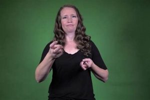 Learn Roller Skate in ASL: Sign It! [Guide] | How to Skateboard: A Beginner's Guide to Your First Board & Tricks