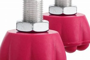 Upgrade Your Roll: Toe Stops Roller Skates Guide | How to Skateboard: A Beginner's Guide to Your First Board & Tricks