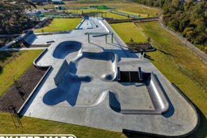 Best Skate Parks in Victoria, BC: Your Ultimate Guide! | How to Skateboard: A Beginner's Guide to Your First Board & Tricks