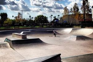 Your Guide: Independence Skate Park Fun & Safety | How to Skateboard: A Beginner's Guide to Your First Board & Tricks