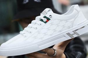 Shop Stylish Business Casual Skate Shoes Today! | How to Skateboard: A Beginner's Guide to Your First Board & Tricks