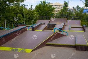 Tiny But Mighty: Your Guide to Small Skate Park Fun! How to Skateboard: A Beginner's Guide to Your First Board & Tricks Tiny But Mighty: Your Guide to Small Skate Park Fun! | How to Skateboard: A Beginner's Guide to Your First Board & Tricks