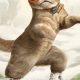 Rolling Cats: Fun Cat Roller Skates Guide + Tips | How to Skateboard: A Beginner's Guide to Your First Board & Tricks